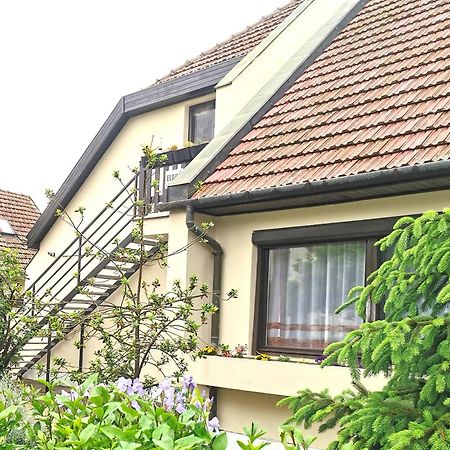 Ambient Deluxe Apartman Jula Exterior foto
